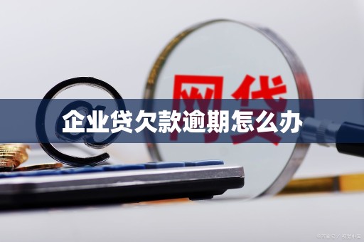 企业贷欠款逾期怎么办