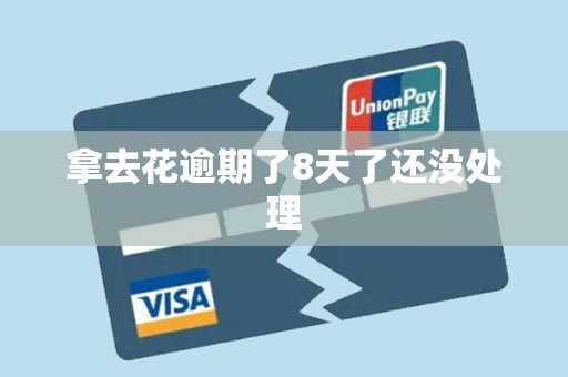 拿去花逾期了8天了还没处理