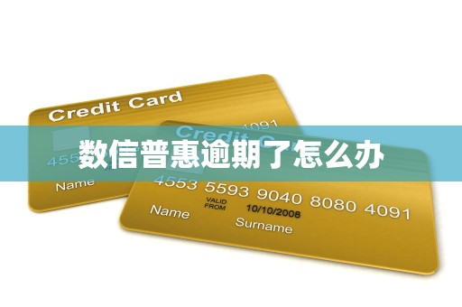 数信普惠逾期了怎么办