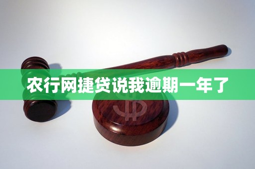 农行网捷贷说我逾期一年了 农行网捷贷说我逾期一年了
