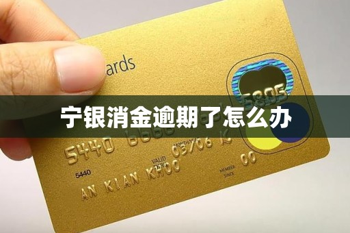 宁银消金逾期了怎么办