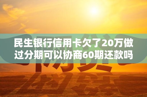 民生银行信用卡欠了20万做过分期可以协商60期还款吗