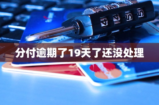 分付逾期了19天了还没处理