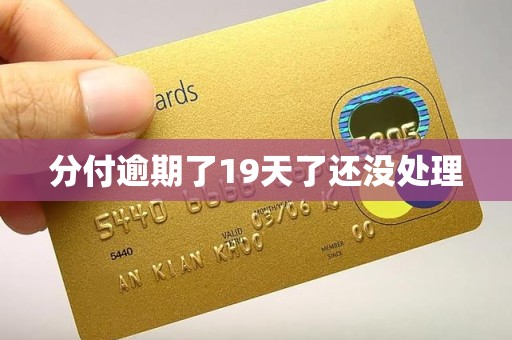 分付逾期了19天了还没处理