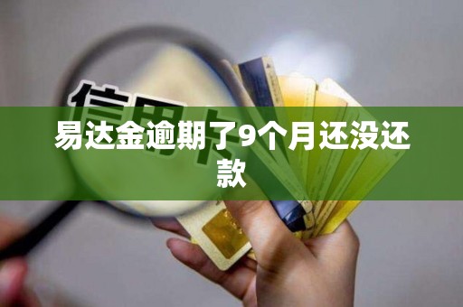 易达金逾期了9个月还没还款 易达金逾期了9个月还没还款