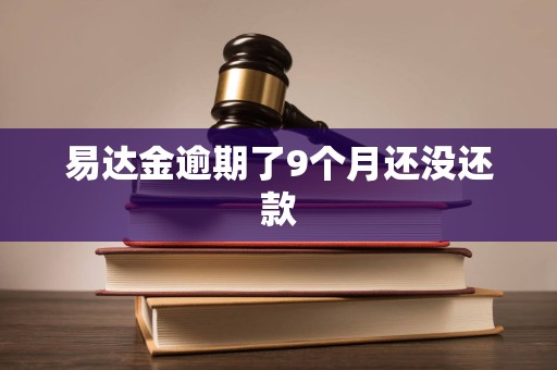 易达金逾期了9个月还没还款 易达金逾期了9个月还没还款