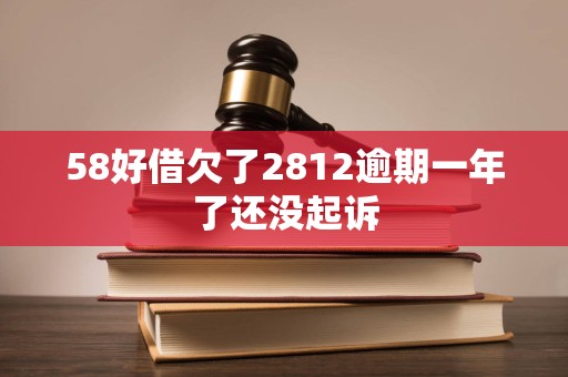 58好借欠了2812逾期一年了还没起诉