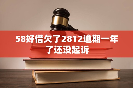 58好借欠了2812逾期一年了还没起诉
