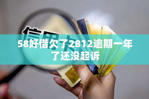 58好借欠了2812逾期一年了还没起诉