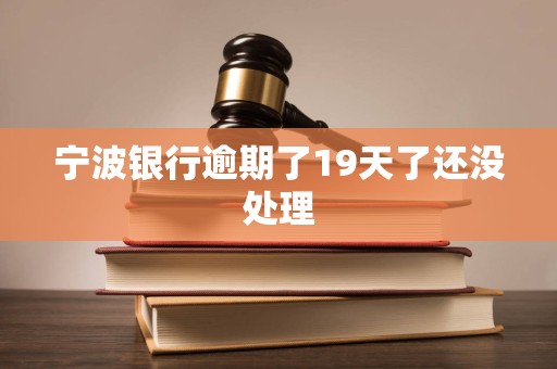 宁波银行逾期了19天了还没处理