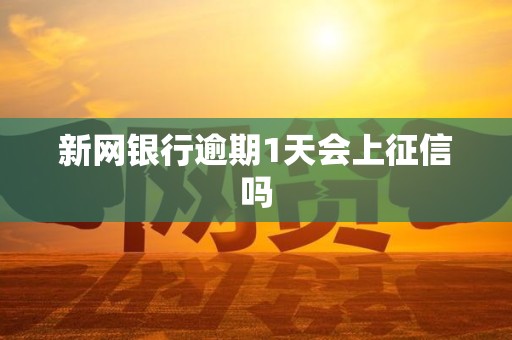新网银行逾期1天会上征信吗