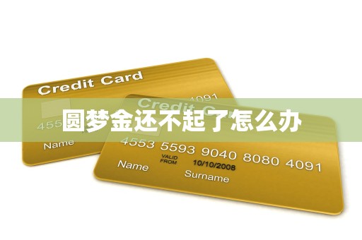 圆梦金还不起了怎么办
