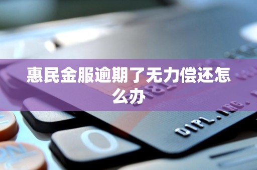 惠民金服逾期了无力偿还怎么办 惠民金服逾期了无力偿还怎么办