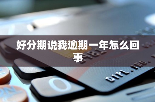 好分期说我逾期一年怎么回事