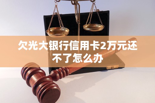 欠光大银行信用卡2万元还不了怎么办