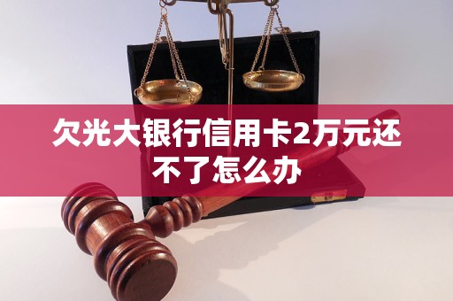 欠光大银行信用卡2万元还不了怎么办