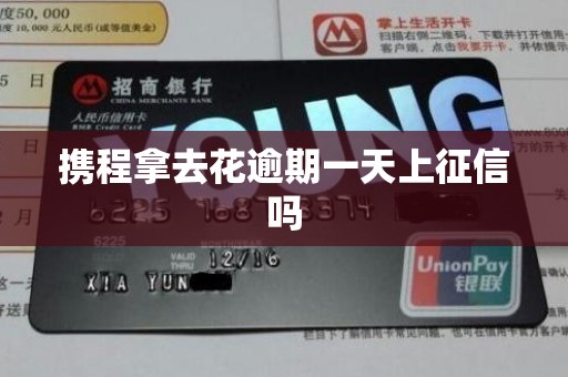 携程拿去花逾期一天上征信吗 携程拿去花逾期一天上征信吗