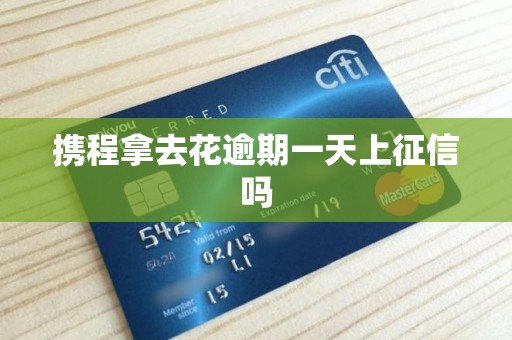 携程拿去花逾期一天上征信吗 携程拿去花逾期一天上征信吗