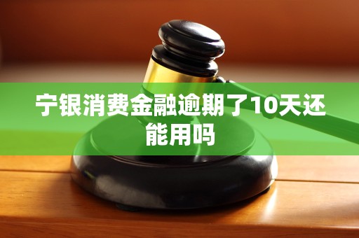 宁银消费金融逾期了10天还能用吗