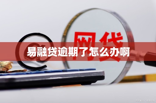 易融贷逾期了怎么办啊