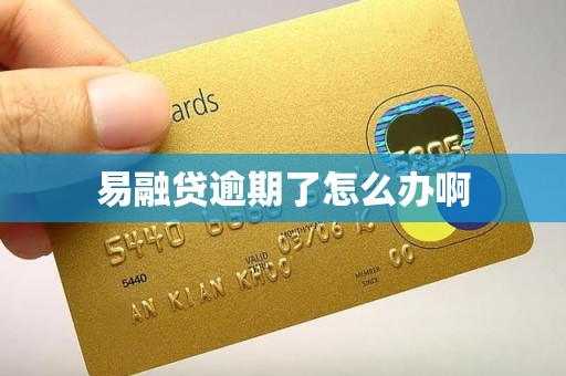 易融贷逾期了怎么办啊