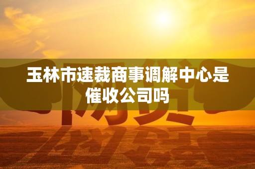 玉林市速裁商事调解中心是催收公司吗