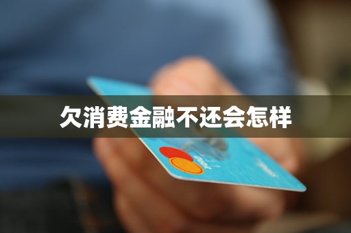 欠消费金融不还会怎样