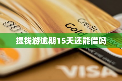 提钱游逾期15天还能借吗 提钱游逾期15天还能借吗