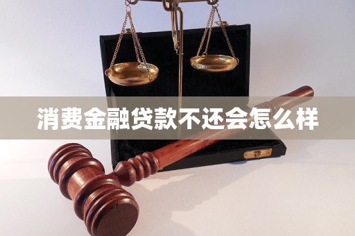 消费金融贷款不还会怎么样