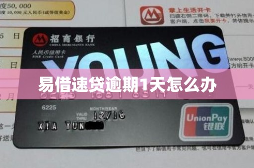 易借速贷逾期1天怎么办