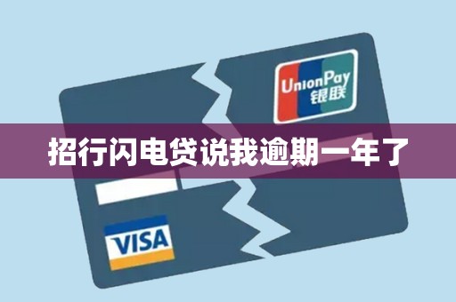 招行闪电贷说我逾期一年了