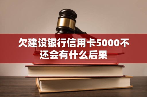 欠建设银行信用卡5000不还会有什么后果 欠建设银行信用卡5000不还会有什么后果
