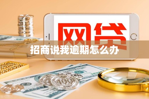 招商说我逾期怎么办