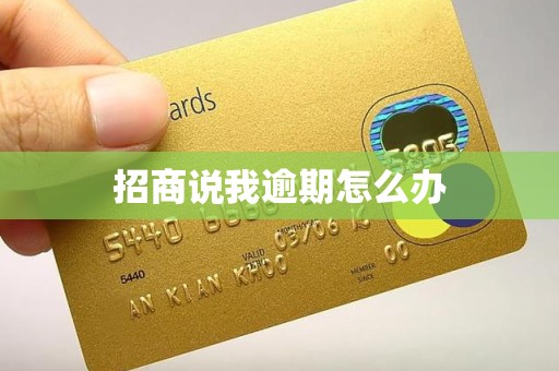 招商说我逾期怎么办