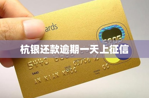 杭银还款逾期一天上征信