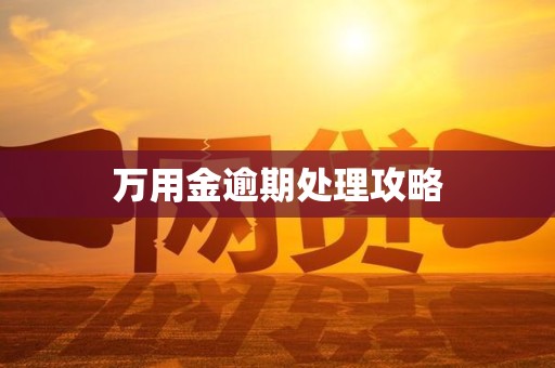 万用金逾期处理攻略