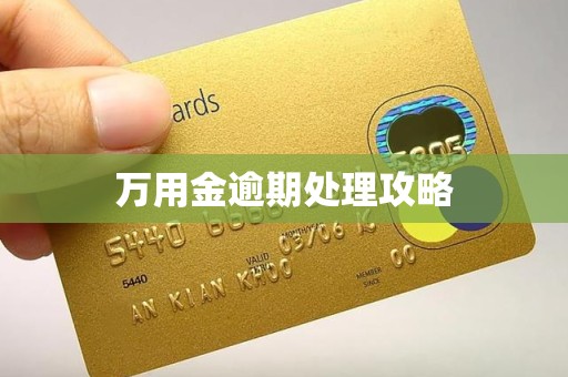 万用金逾期处理攻略