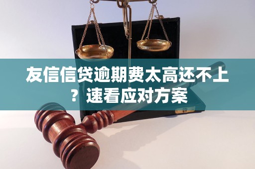 友信信贷逾期费太高还不上？速看应对方案