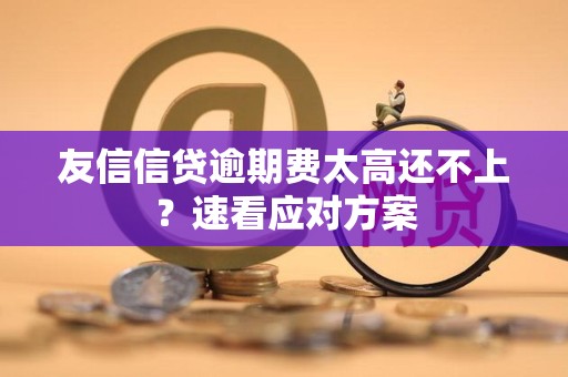 友信信贷逾期费太高还不上？速看应对方案