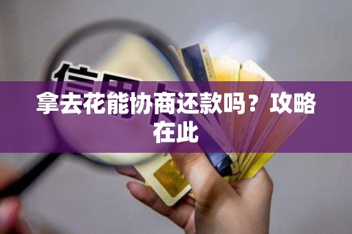 拿去花能协商还款吗?攻略在此 拿去花能协商还款吗?攻略在此