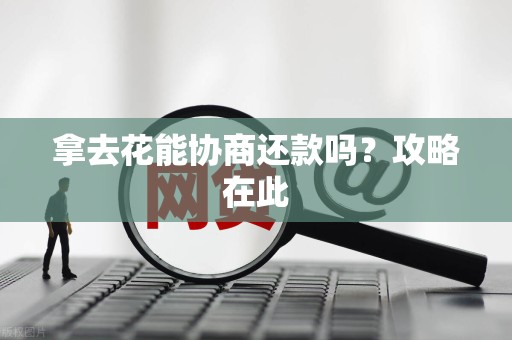 拿去花能协商还款吗?攻略在此 拿去花能协商还款吗?攻略在此