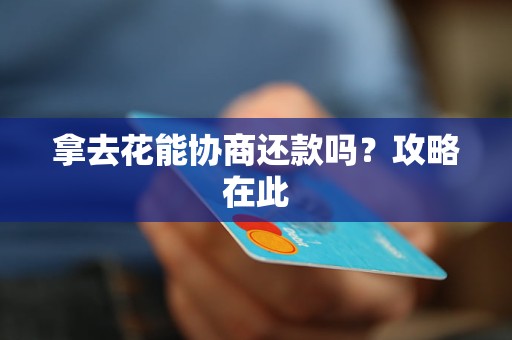 拿去花能协商还款吗?攻略在此 拿去花能协商还款吗?攻略在此