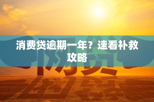 消费贷逾期一年?速看补救攻略 消费贷逾期一年?速看补救攻略