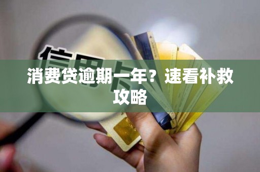 消费贷逾期一年?速看补救攻略 消费贷逾期一年?速看补救攻略
