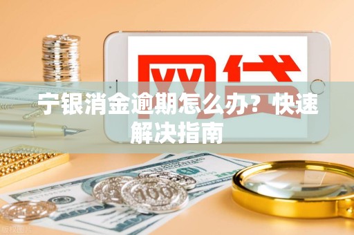 宁银消金逾期怎么办？快速解决指南
