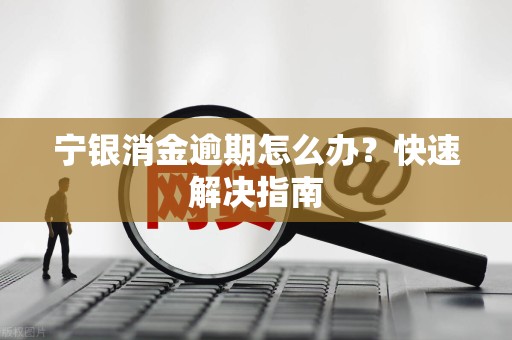 宁银消金逾期怎么办？快速解决指南