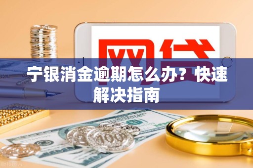 宁银消金逾期怎么办？快速解决指南