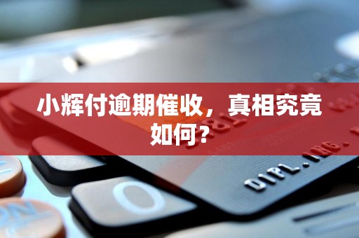 小辉付逾期催收，真相究竟如何？