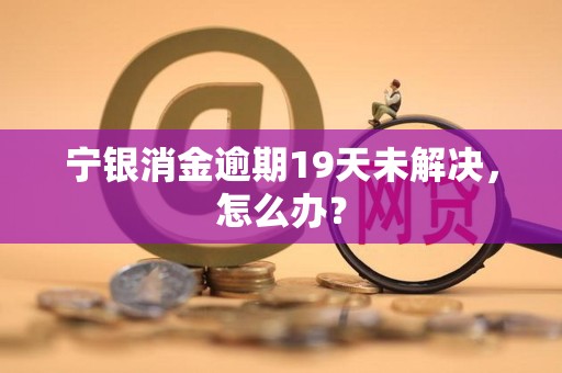 宁银消金逾期19天未解决，怎么办？