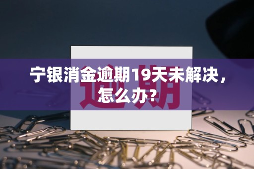 宁银消金逾期19天未解决，怎么办？
